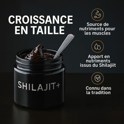 PureForme - Shilajit Premium